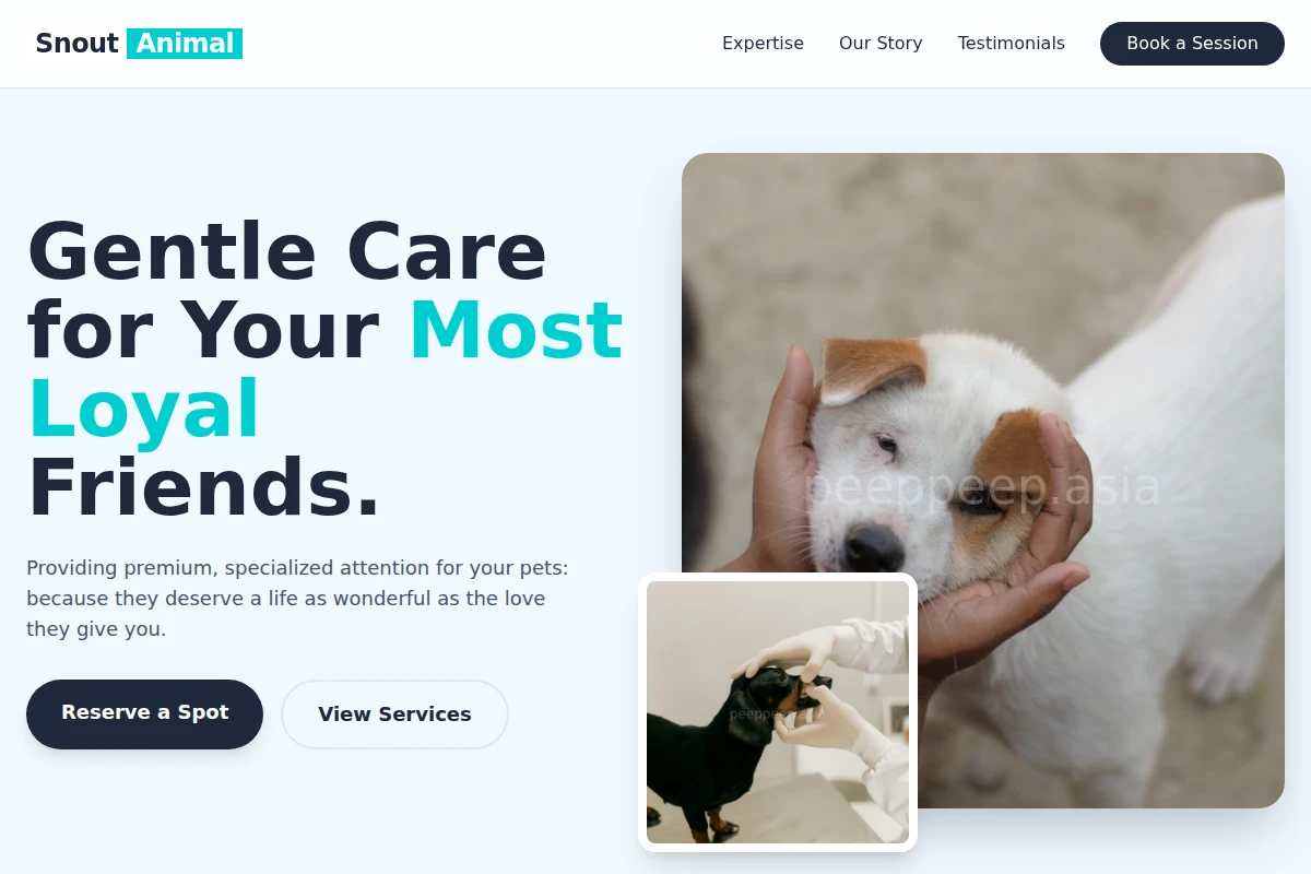 Snout Animal Care