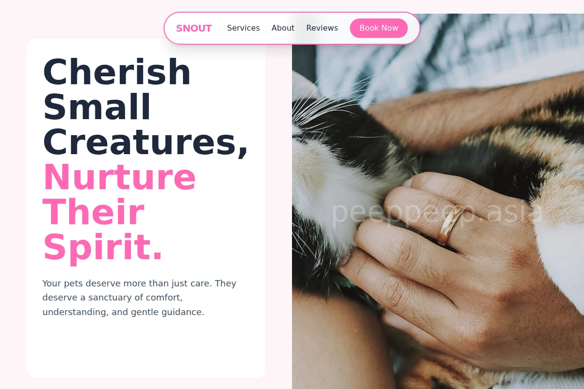 Snout Animal Care