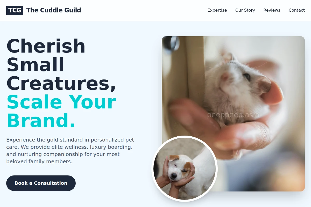 Bow Animal Care