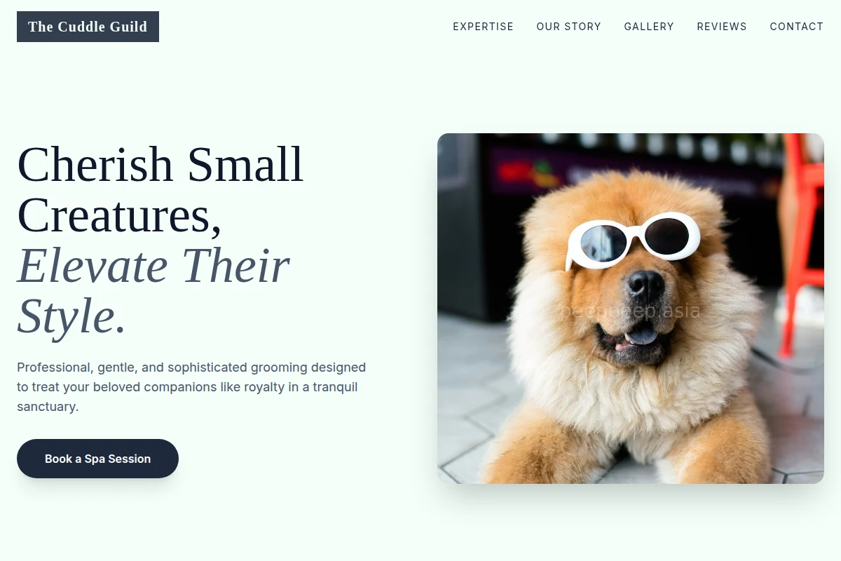 Treat Pet Grooming