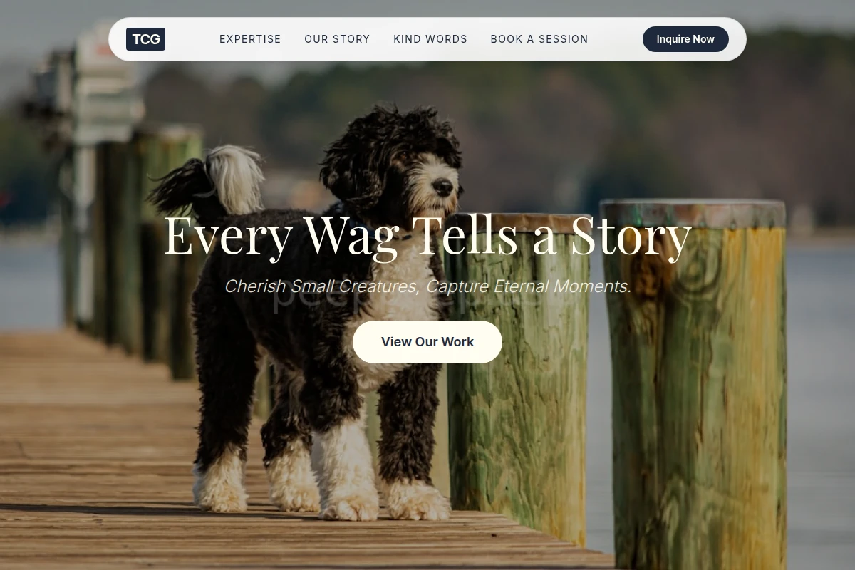 Tailwag Pet Photography