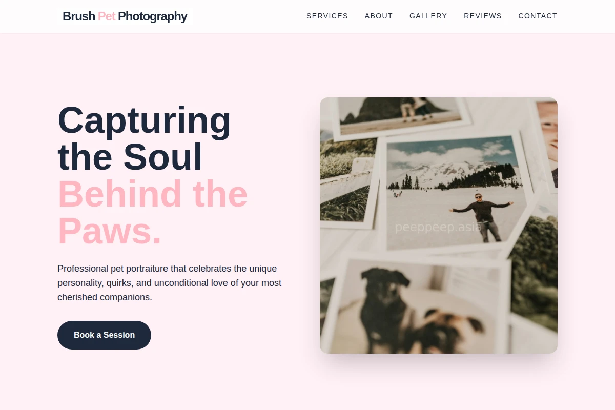 Brush Pet Photography