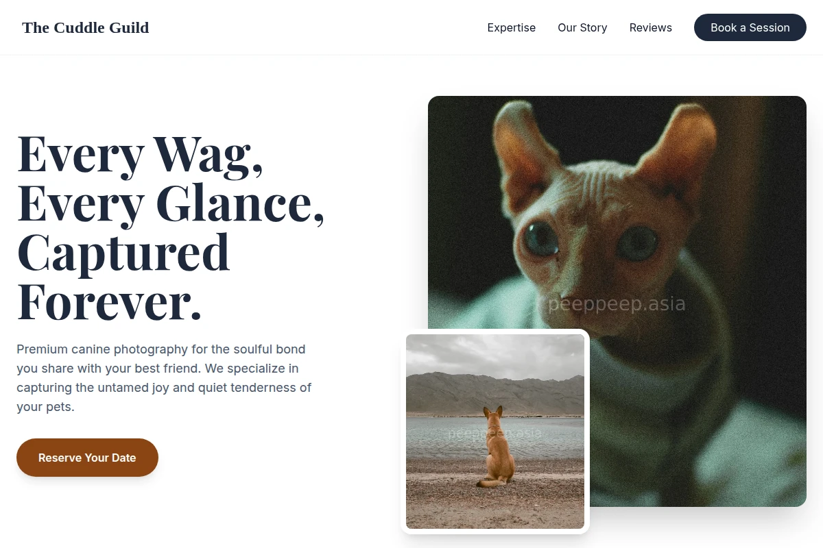 Canine Pet Photography