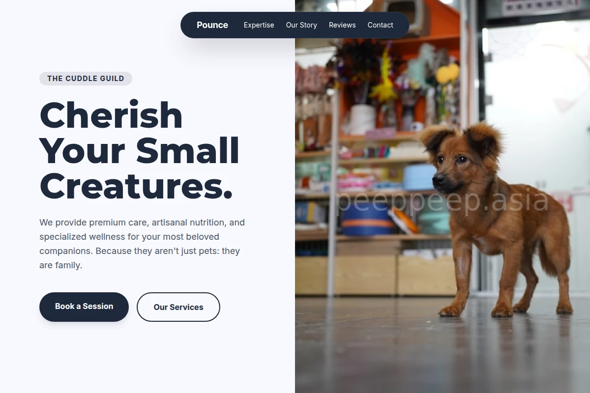 Pounce Pet Shop