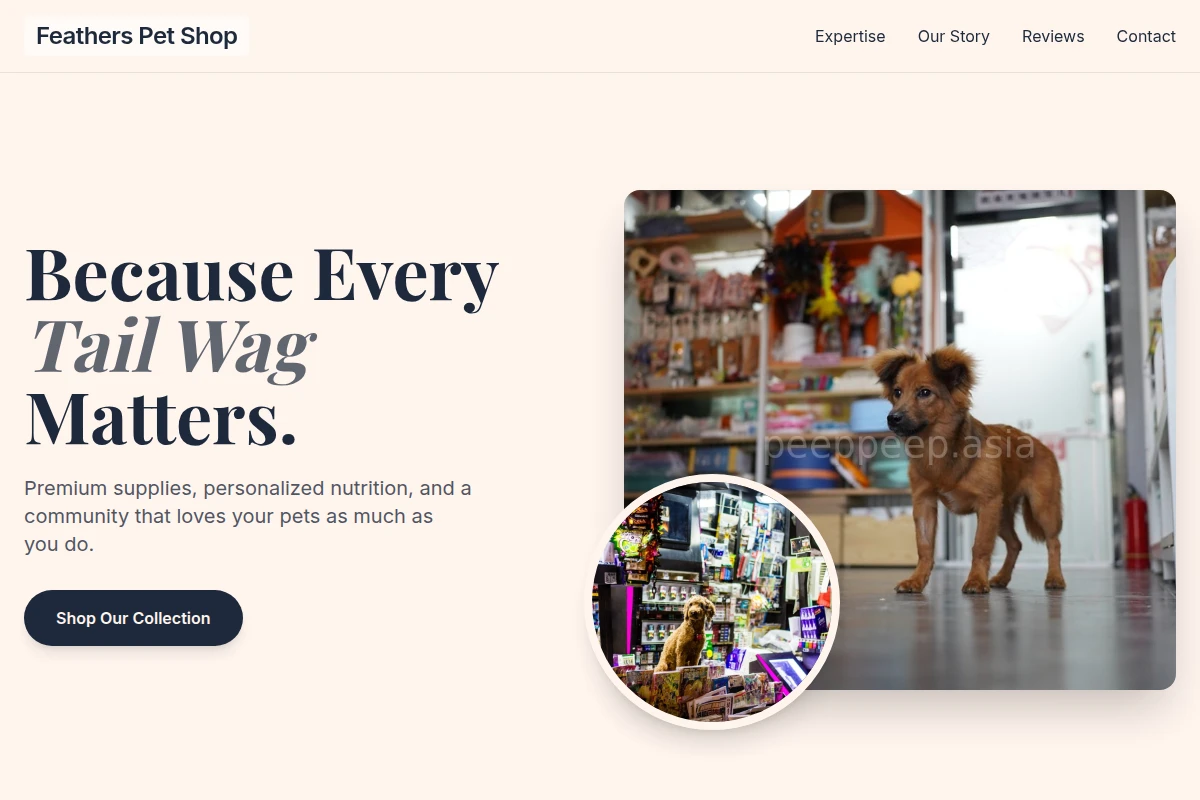 Feathers Pet Shop